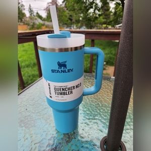 Pool color Stanley cup